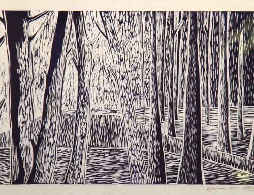 BOSQUE 45 x 30 cm