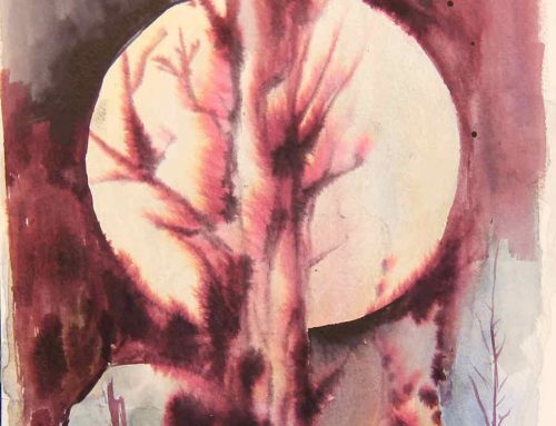 Sin Título 25 x 35 cm